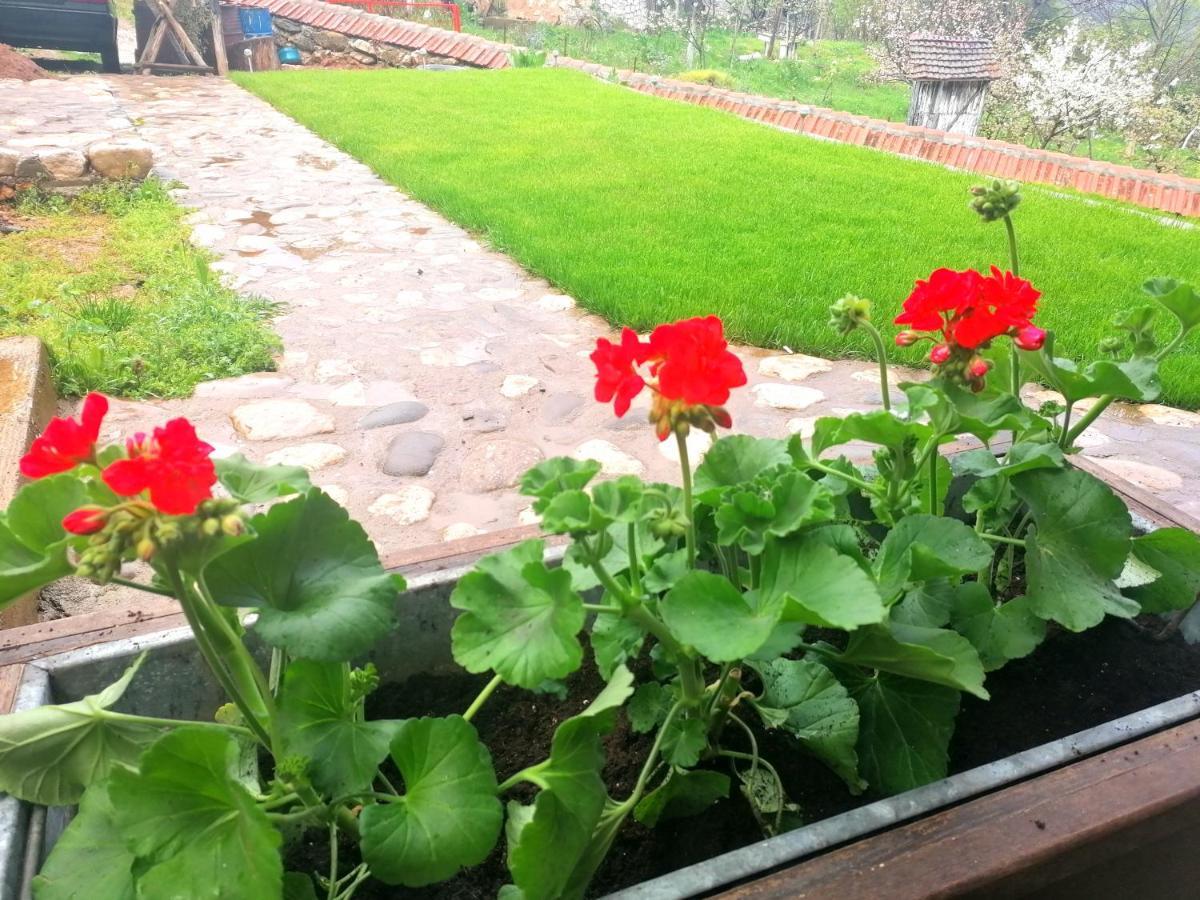 Konak Jerma Pirot Ngoại thất bức ảnh