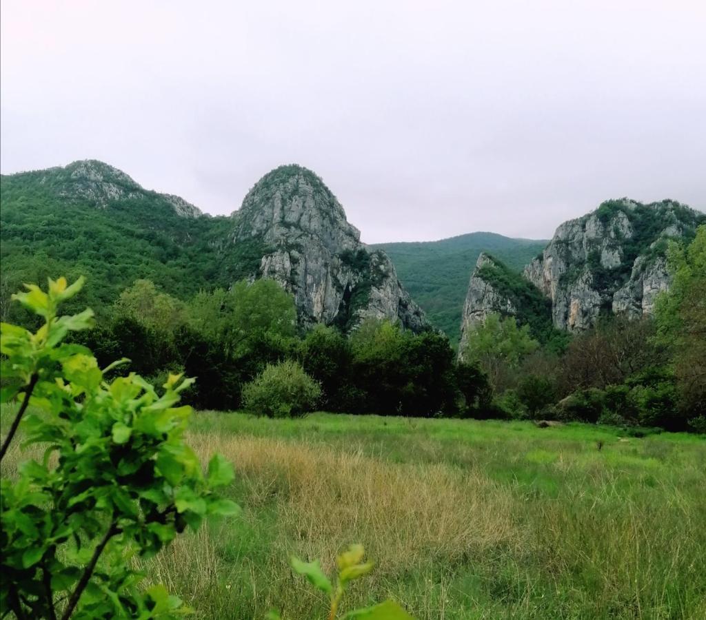 Konak Jerma Pirot Ngoại thất bức ảnh